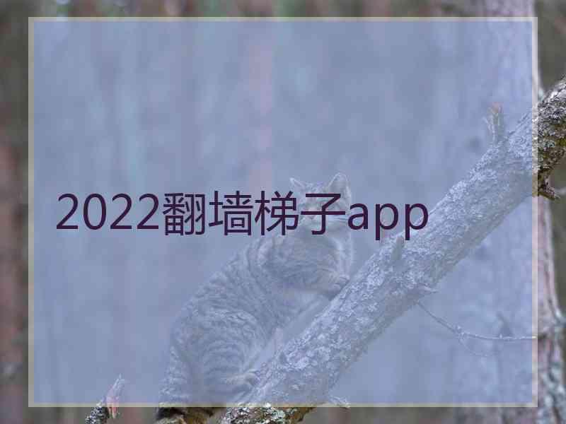 2022翻墙梯子app