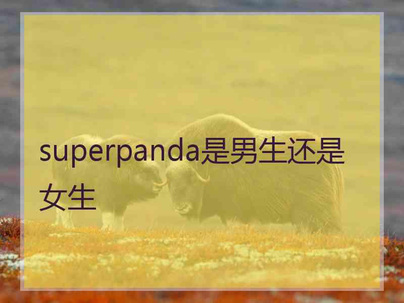 superpanda是男生还是女生