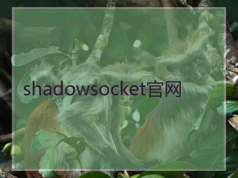 shadowsocket官网