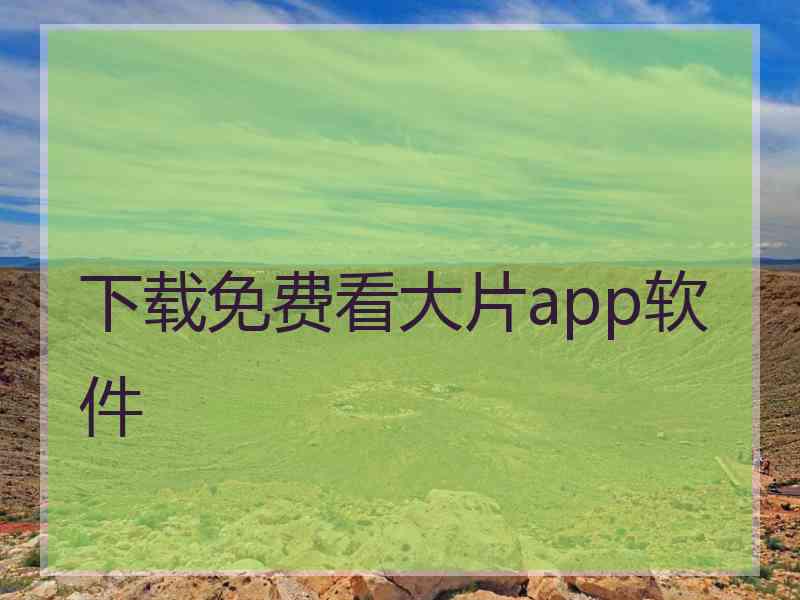 下载免费看大片app软件