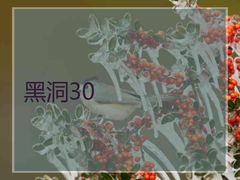 黑洞30