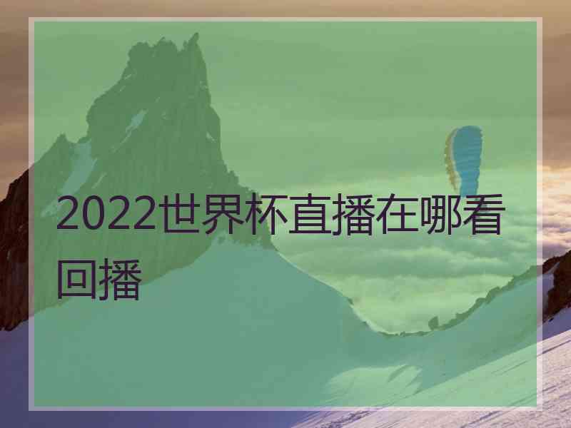 2022世界杯直播在哪看回播