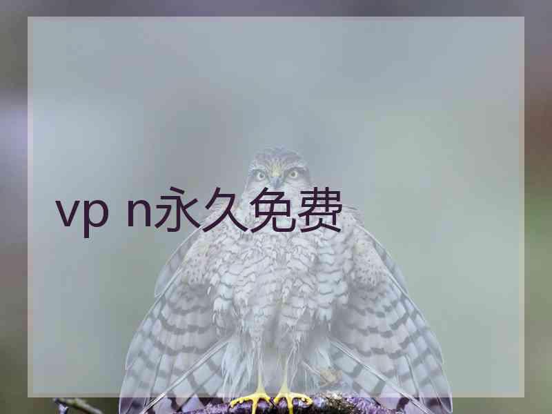 vp n永久免费