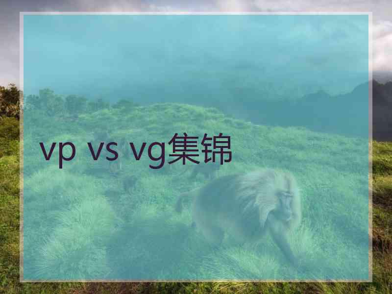 vp vs vg集锦