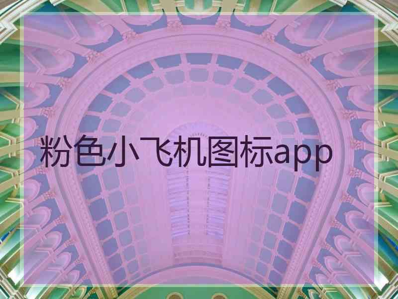 粉色小飞机图标app