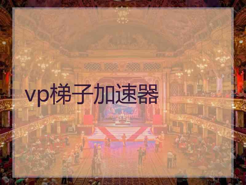 vp梯子加速器