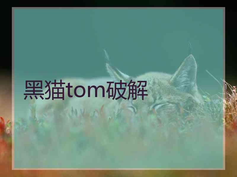 黑猫tom破解