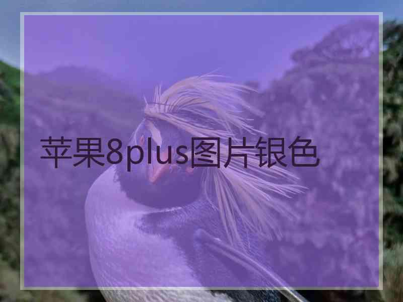 苹果8plus图片银色