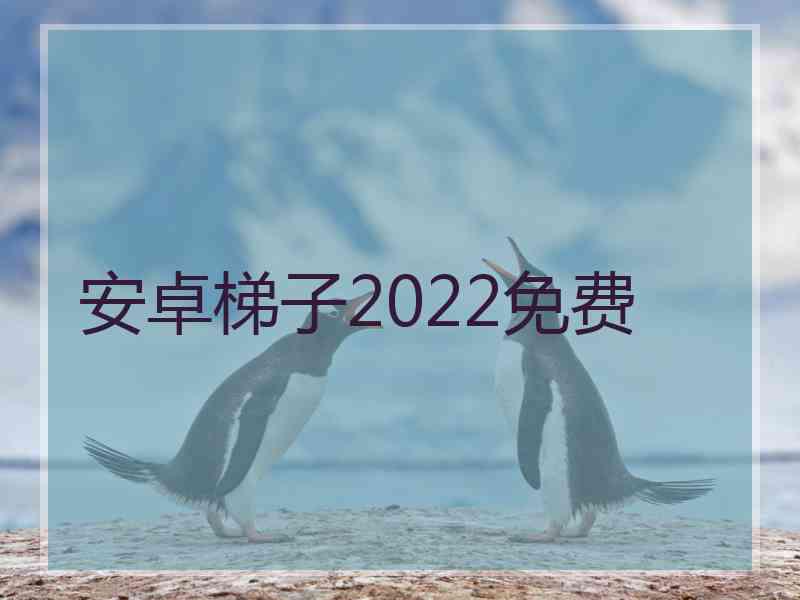 安卓梯子2022免费