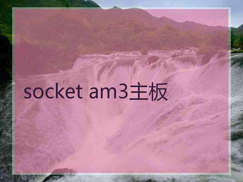 socket am3主板