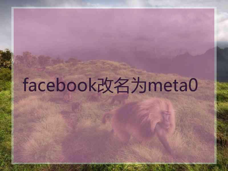 facebook改名为meta0