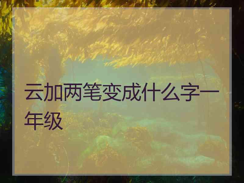 云加两笔变成什么字一年级