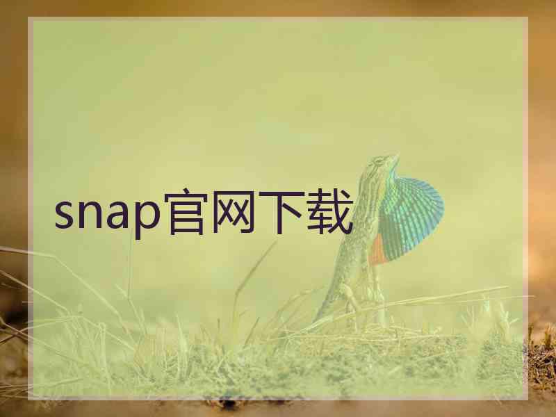 snap官网下载