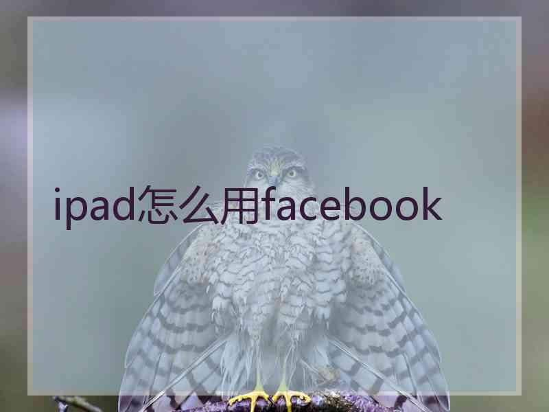 ipad怎么用facebook