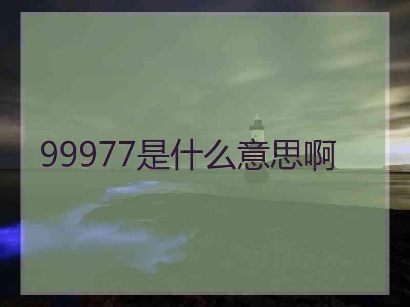 99977是什么意思啊