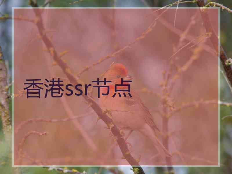 香港ssr节点