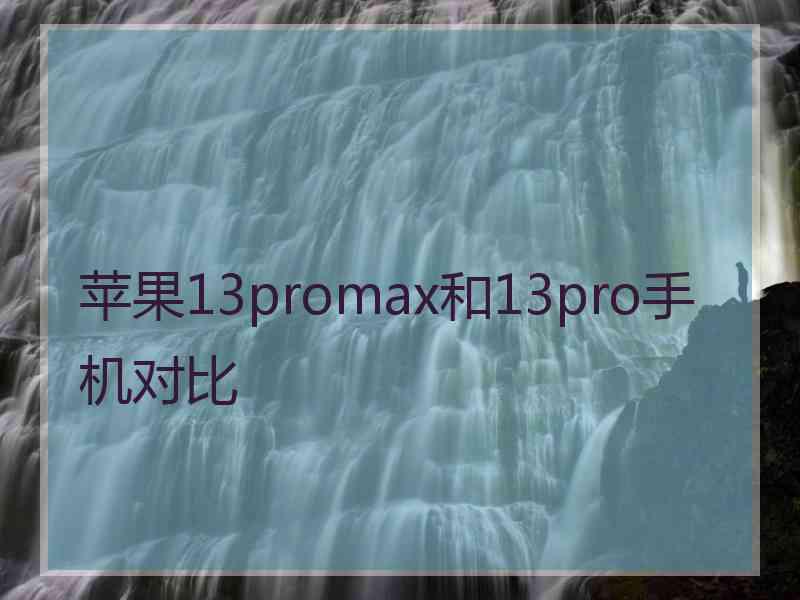 苹果13promax和13pro手机对比