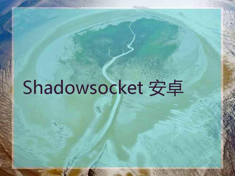 Shadowsocket 安卓