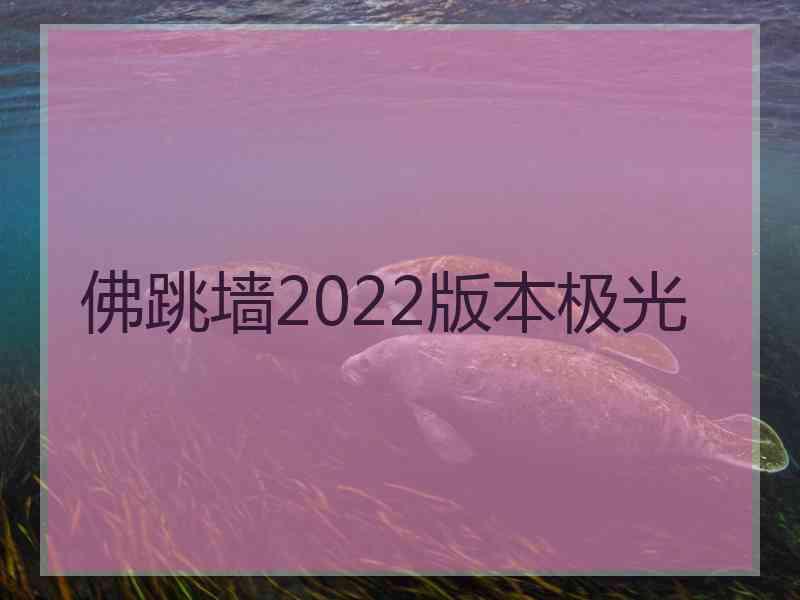 佛跳墙2022版本极光