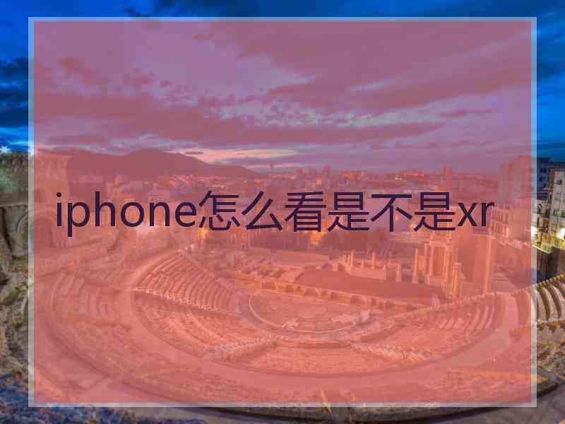 iphone怎么看是不是xr