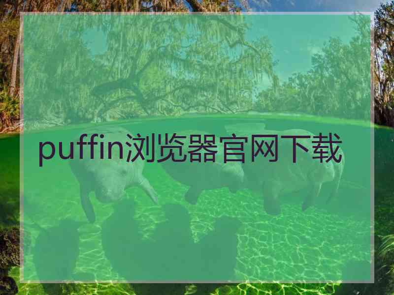 puffin浏览器官网下载