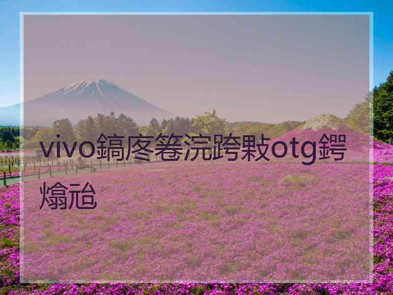 vivo鎬庝箞浣跨敤otg鍔熻兘