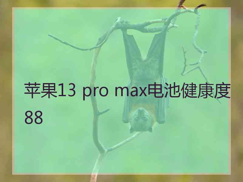 苹果13 pro max电池健康度88