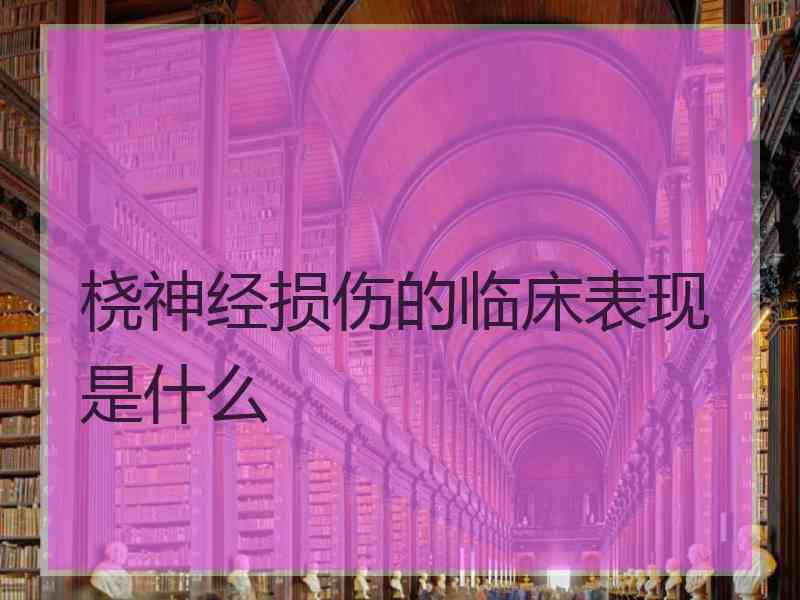 桡神经损伤的临床表现是什么