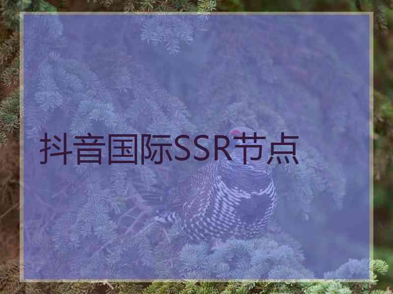 抖音国际SSR节点