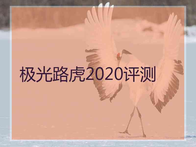 极光路虎2020评测