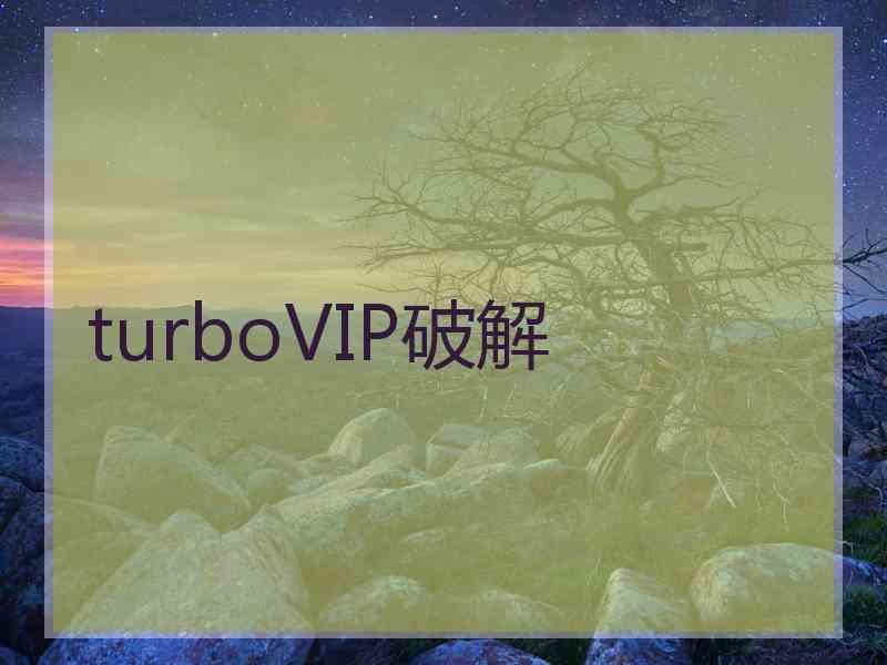 turboVIP破解