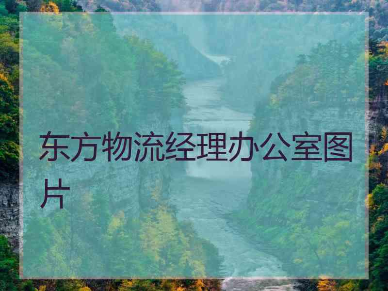 东方物流经理办公室图片