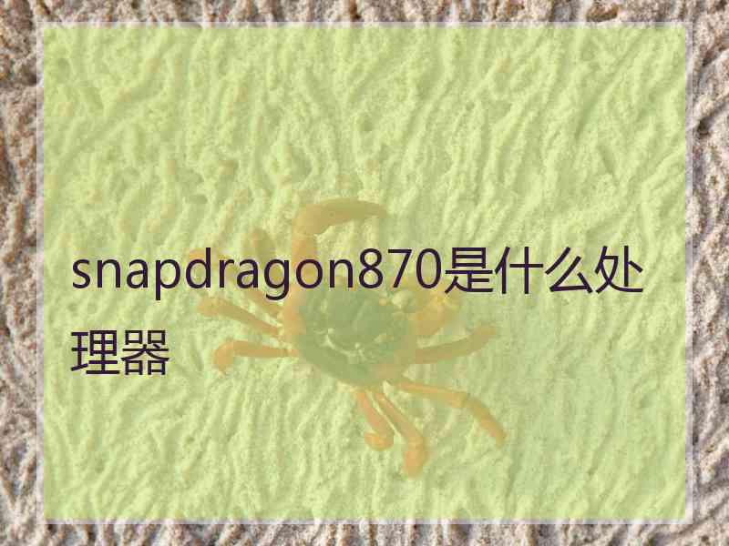 snapdragon870是什么处理器