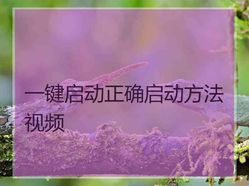 一键启动正确启动方法视频