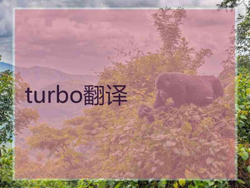 turbo翻译