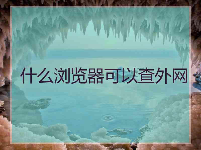 什么浏览器可以查外网