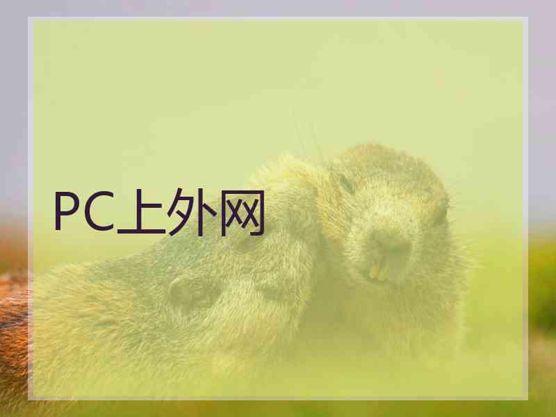 PC上外网