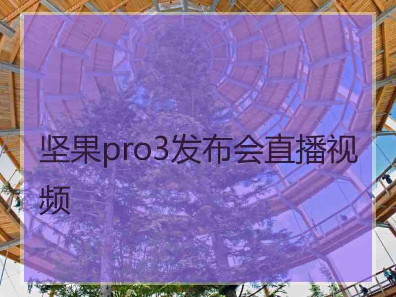 坚果pro3发布会直播视频