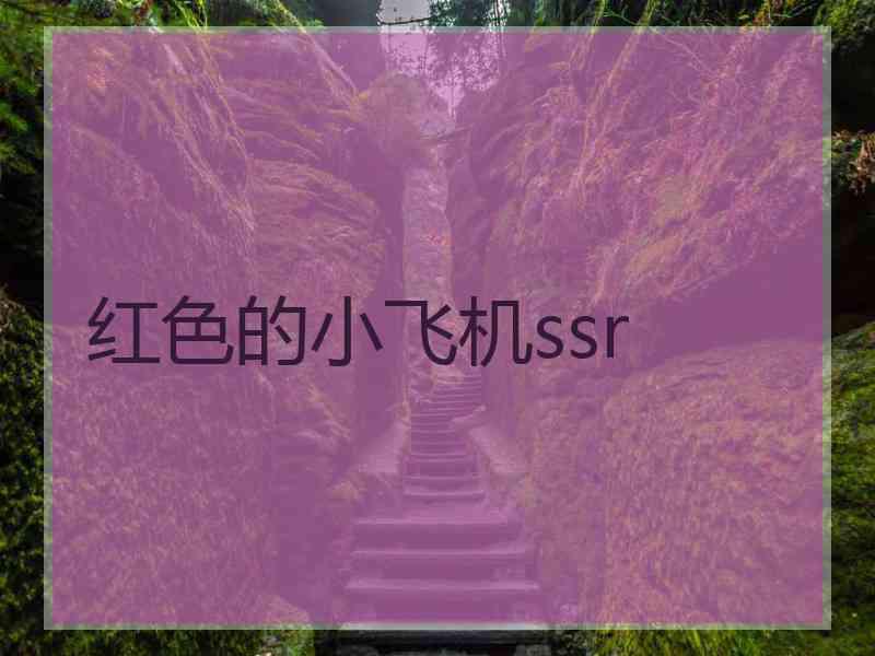 红色的小飞机ssr