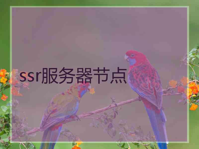 ssr服务器节点