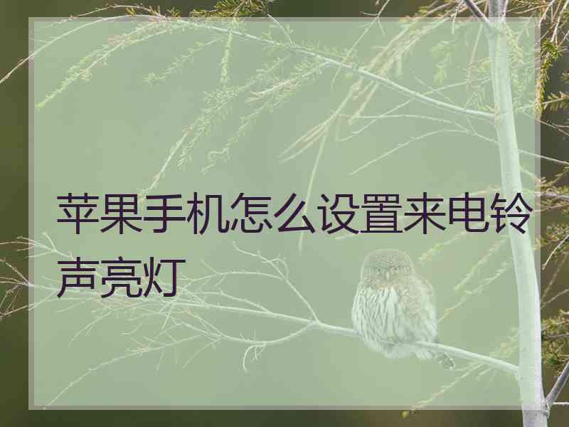 苹果手机怎么设置来电铃声亮灯