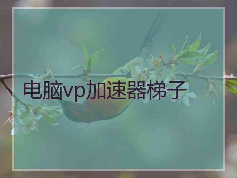 电脑vp加速器梯子