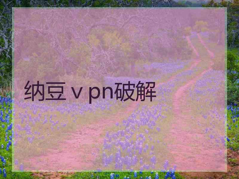 纳豆ⅴpn破解