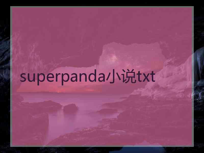 superpanda小说txt