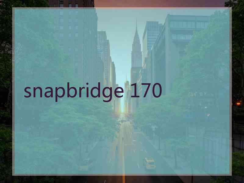 snapbridge 170