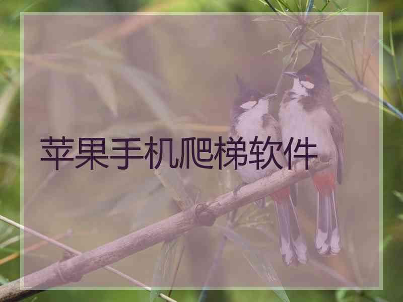 苹果手机爬梯软件