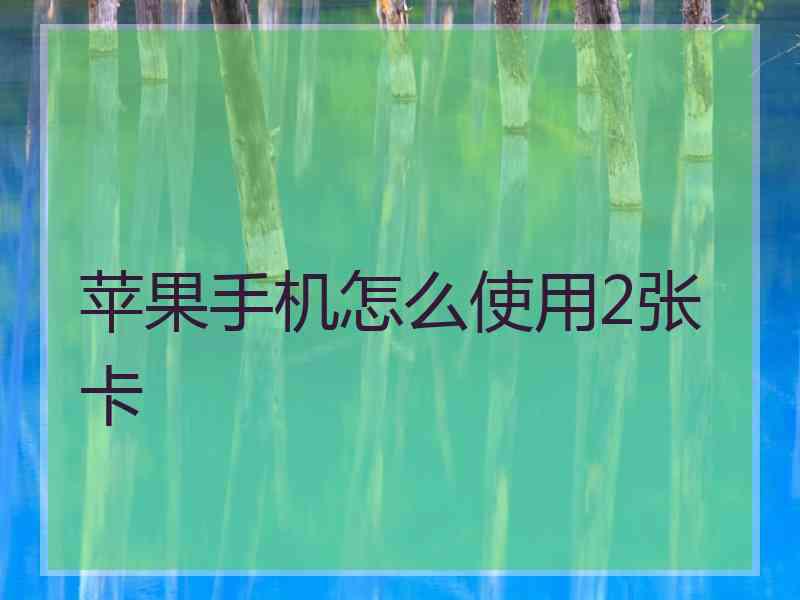 苹果手机怎么使用2张卡