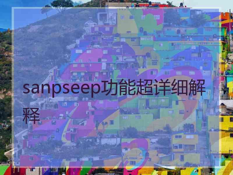 sanpseep功能超详细解释