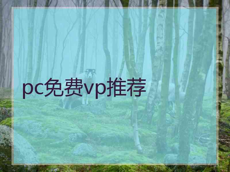 pc免费vp推荐