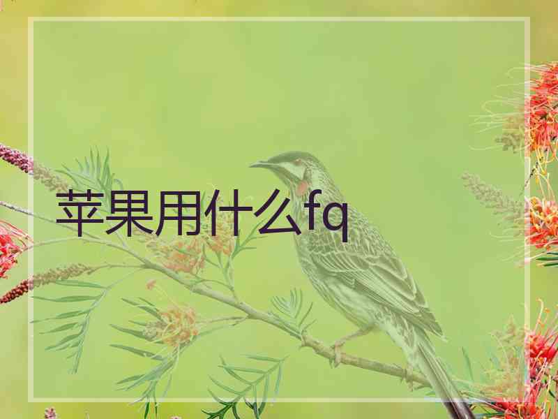 苹果用什么fq